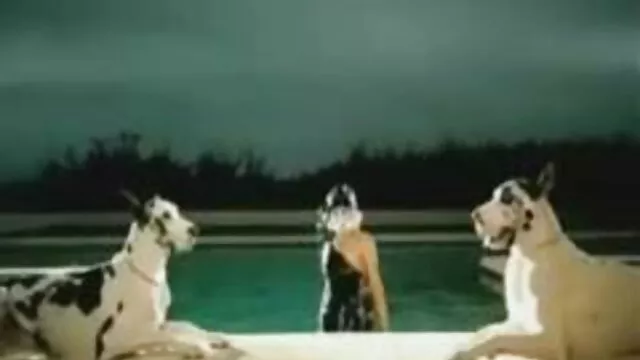 Jeune grosse au gros peliculas hentai en castellano seins